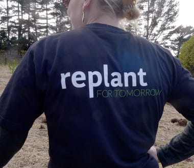 tree planting