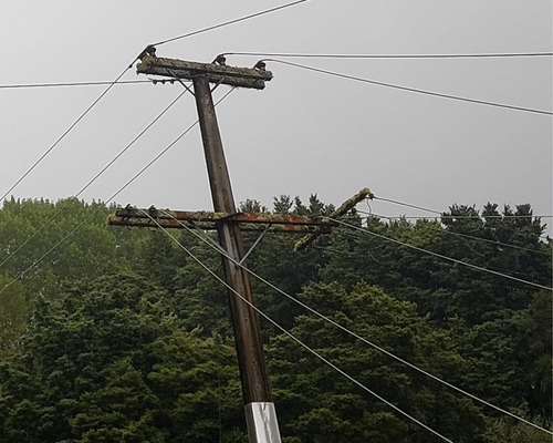 Overhead pole on a lean with lines down