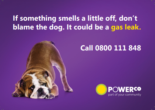 An image of Powerco's gas safety campaign featuring a bulldog.