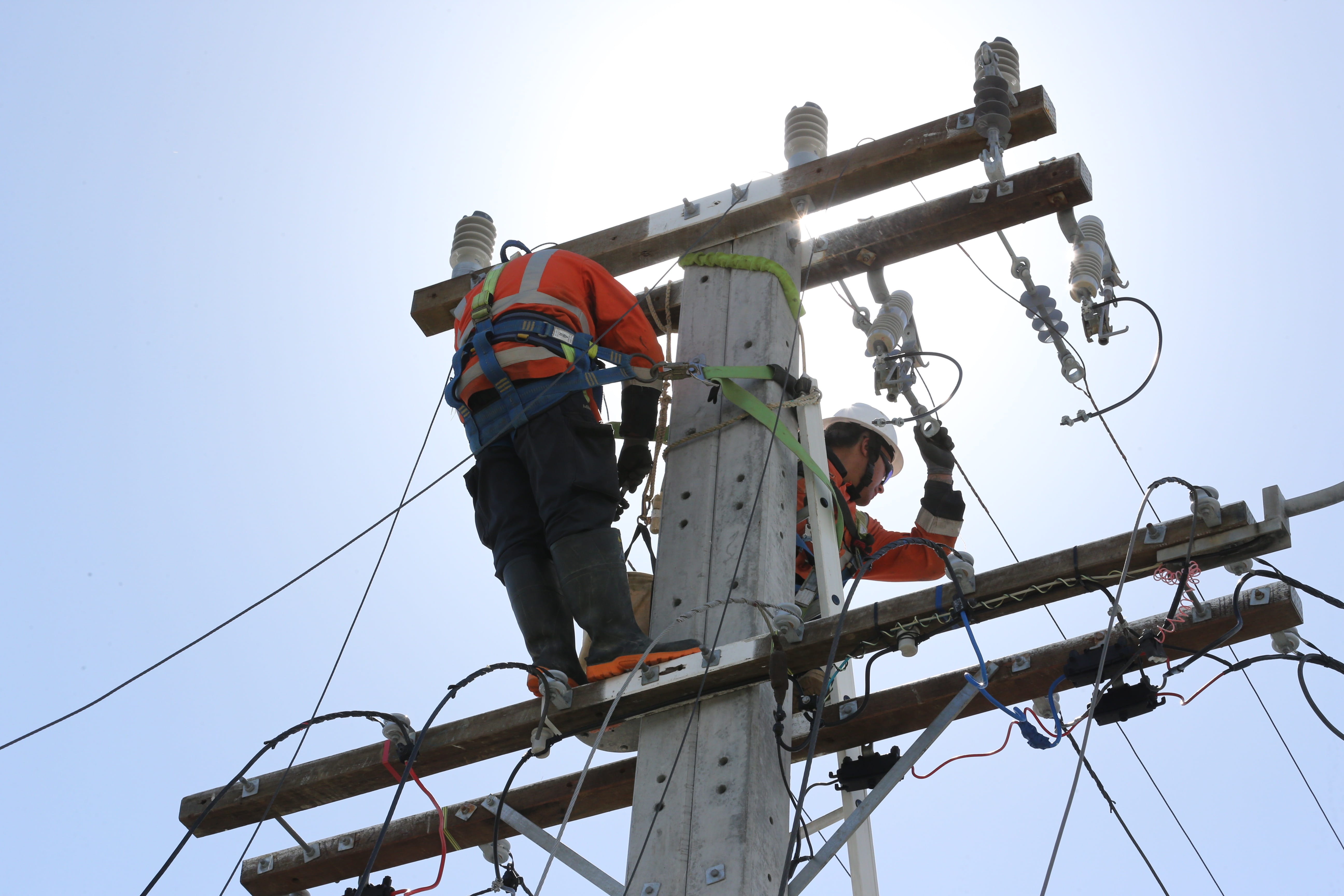 Field crew at the top of an overhead pole