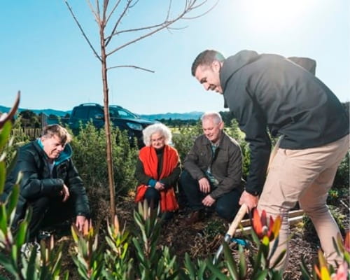 People planting trees