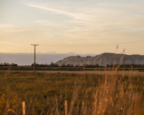 power pole in field