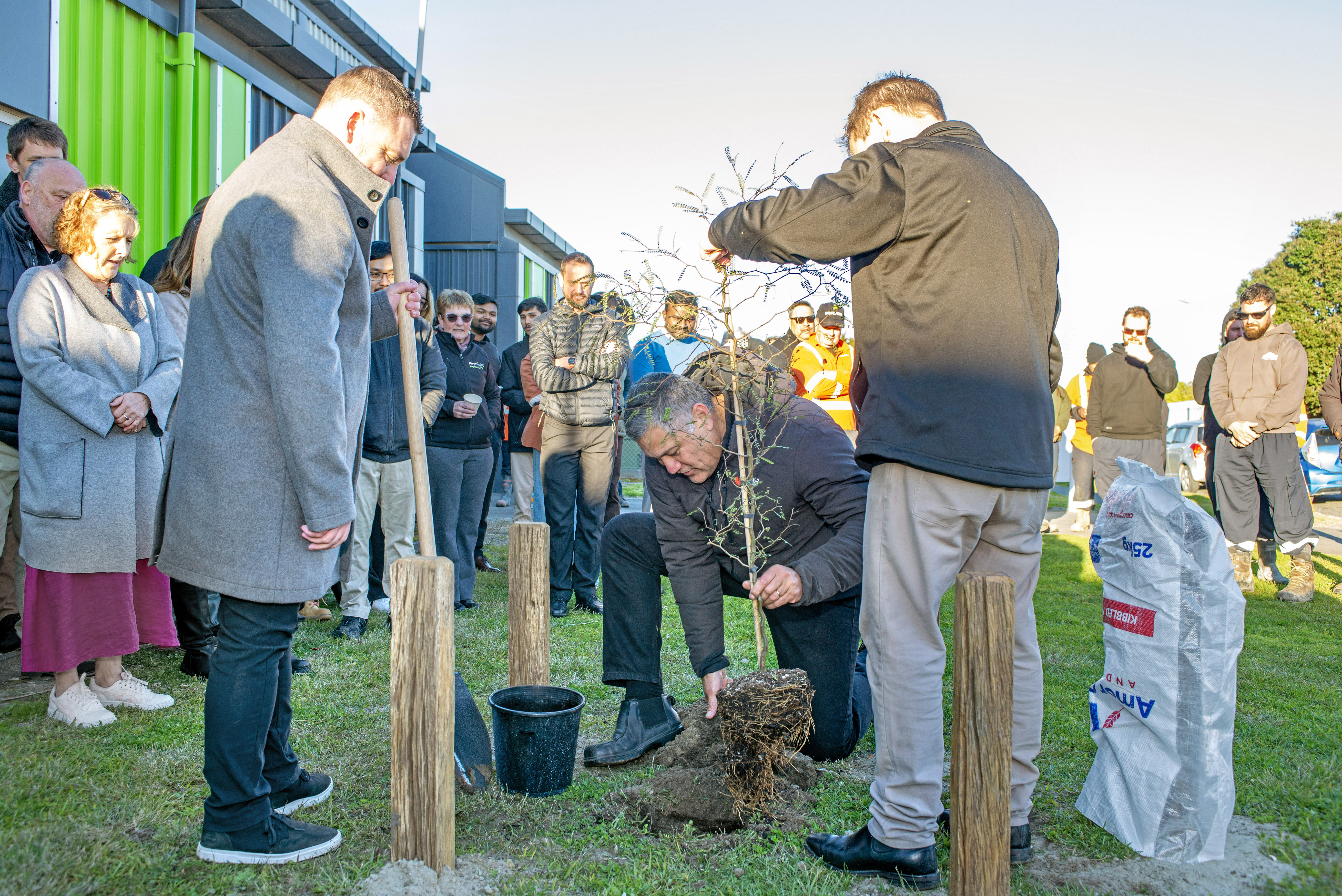 Three men planting a tree