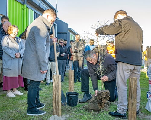 Three men planting a tree 