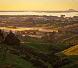 Katikati