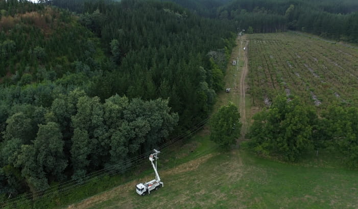 Tree trimming truck in forest area