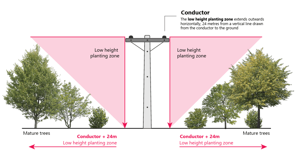 Low height planting zone Low height planting zone