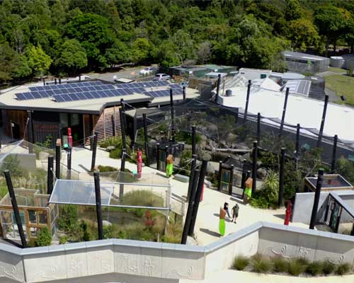 Wildbase recovery centre in Palmerston North