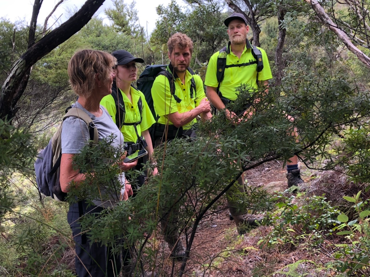 Group of four people in the bush looking at a plant