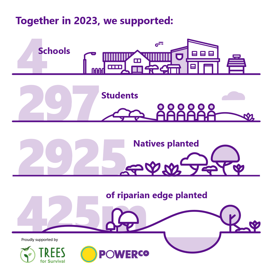 Infographic showing what Trees for Survival partnership achieved in 2023