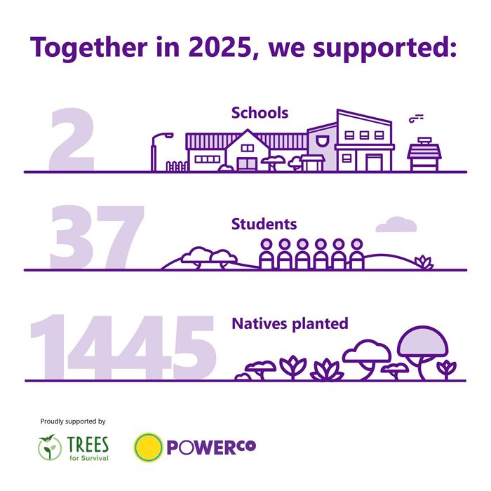 Trees for Survival 2025 stats