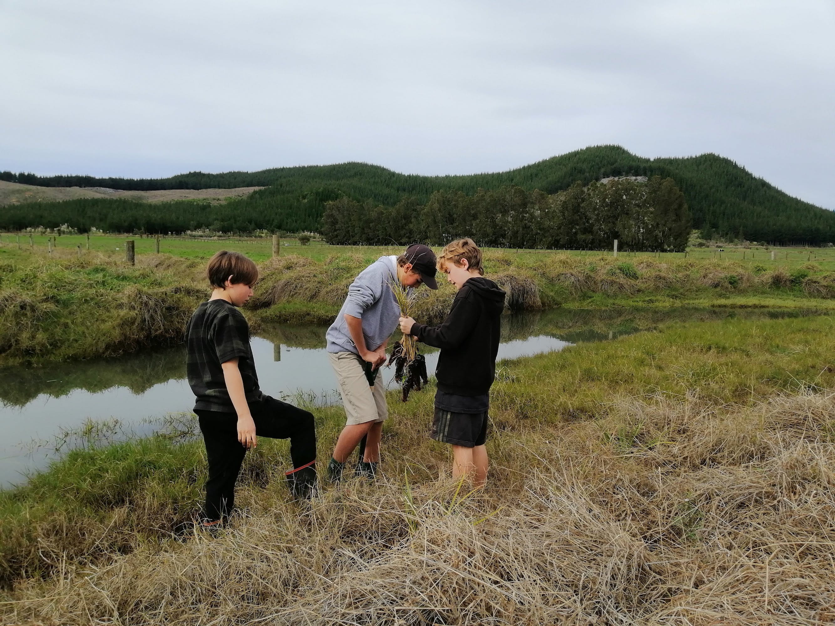 Children from Opoutere School planting trees