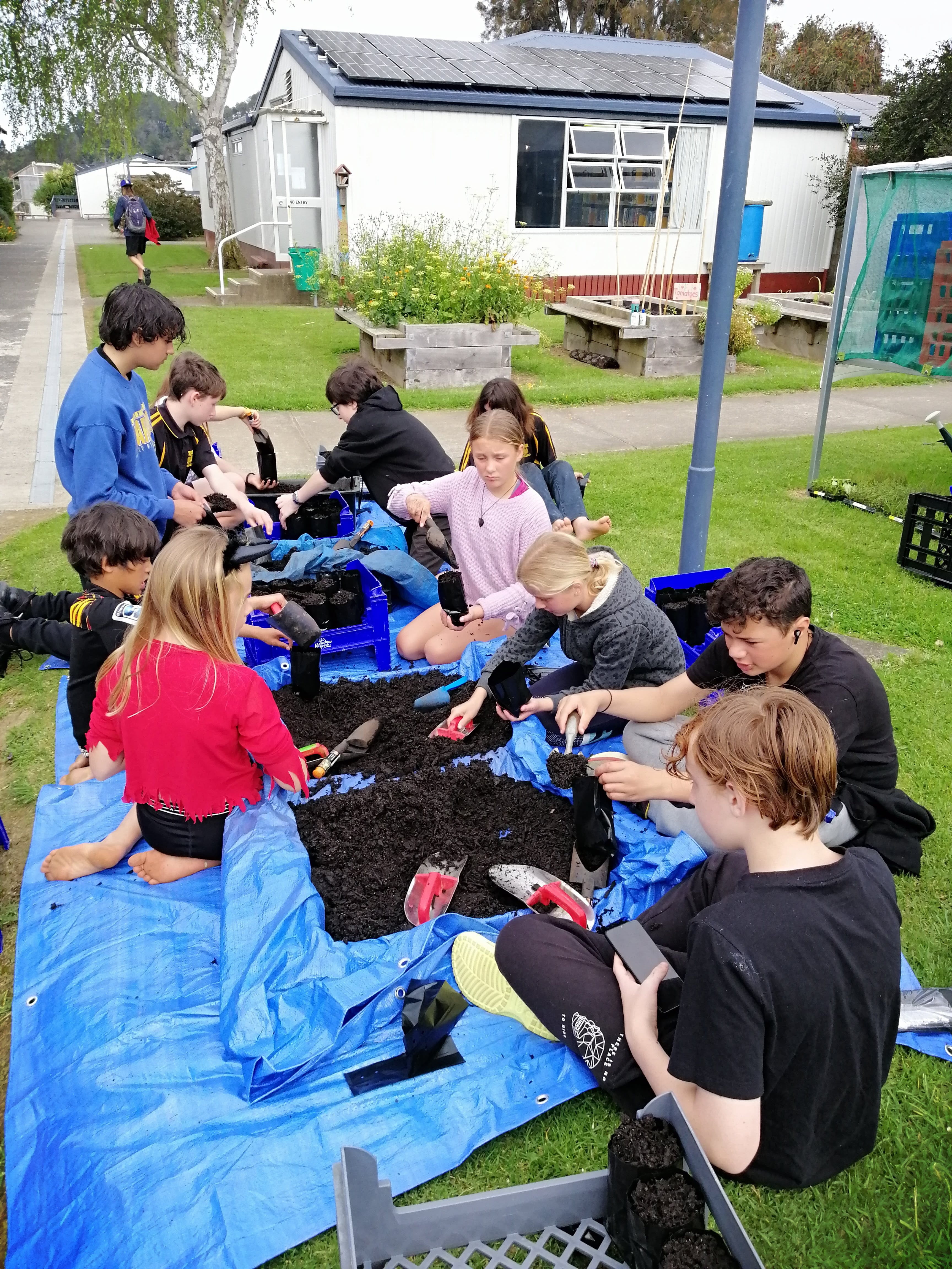 Children preparing seedlings