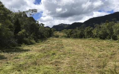 Overhead lines cleared by an eco mulcher