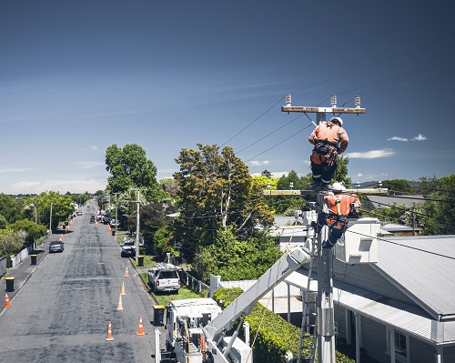 Aerial view of two technicians up a power pole in Greytown