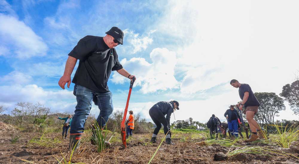 people planting