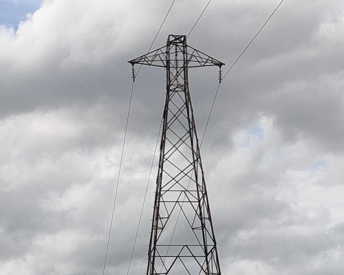 Photo from the ground of  Powerco's Bullock's Yard tower.
