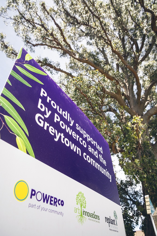 Greytown gum tree sponsorship sign
