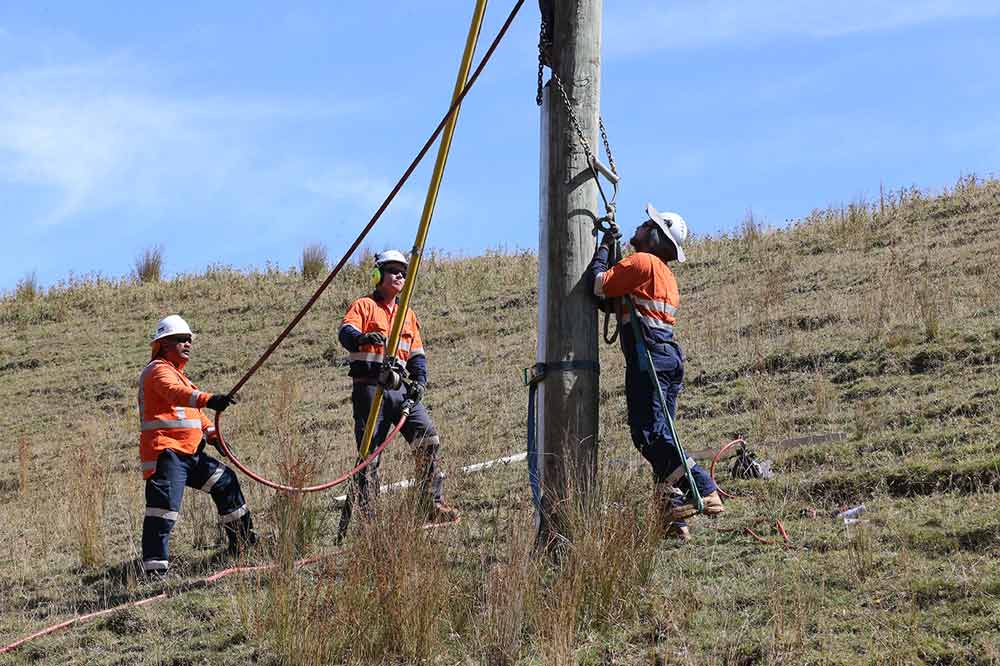 Field crew reinforcing a wooden pole