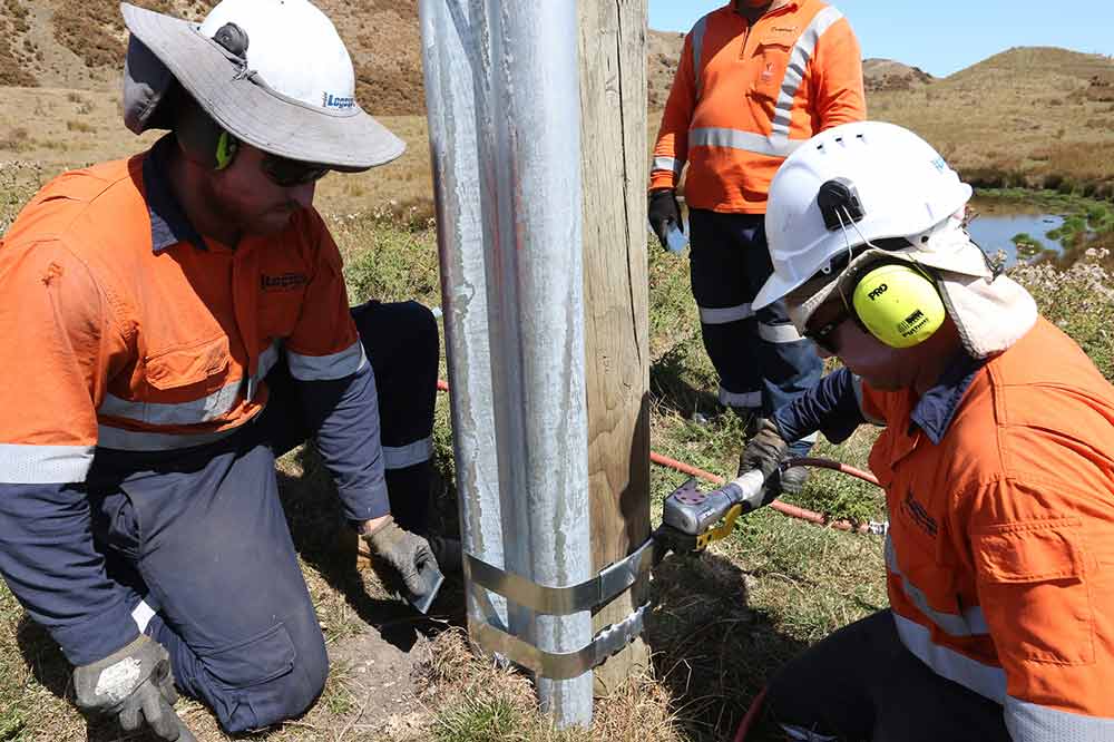 Field crew reinforcing a wooden pole