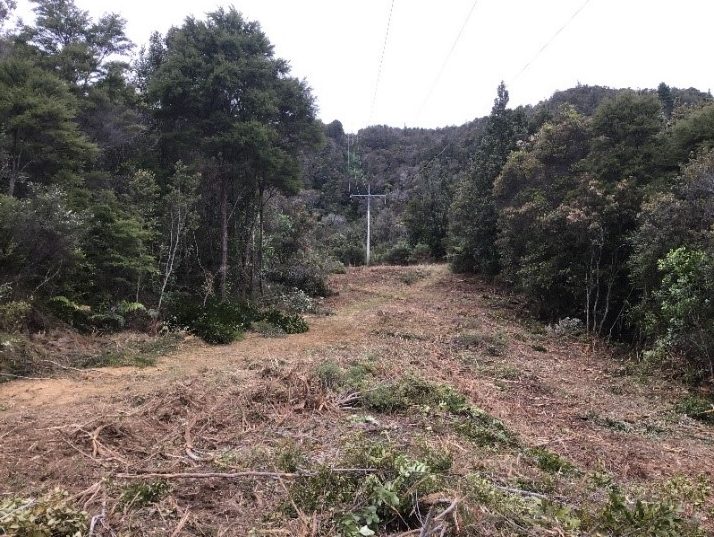 Power lines with path cleared of vegetation