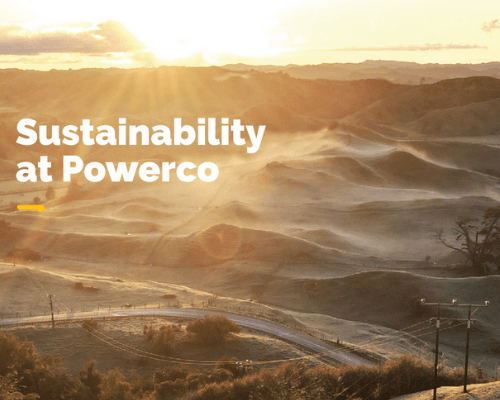 Cover of Sustainability at Powerco document