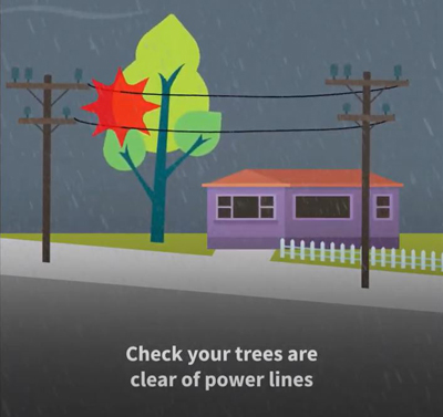 Infographic of tree hitting a power line outside a house