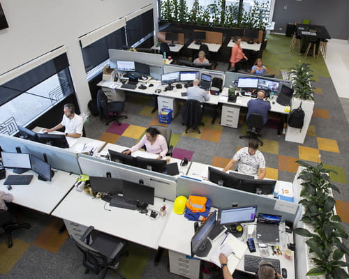 People in an office working at computers