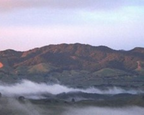 Maungatautari in the morning
