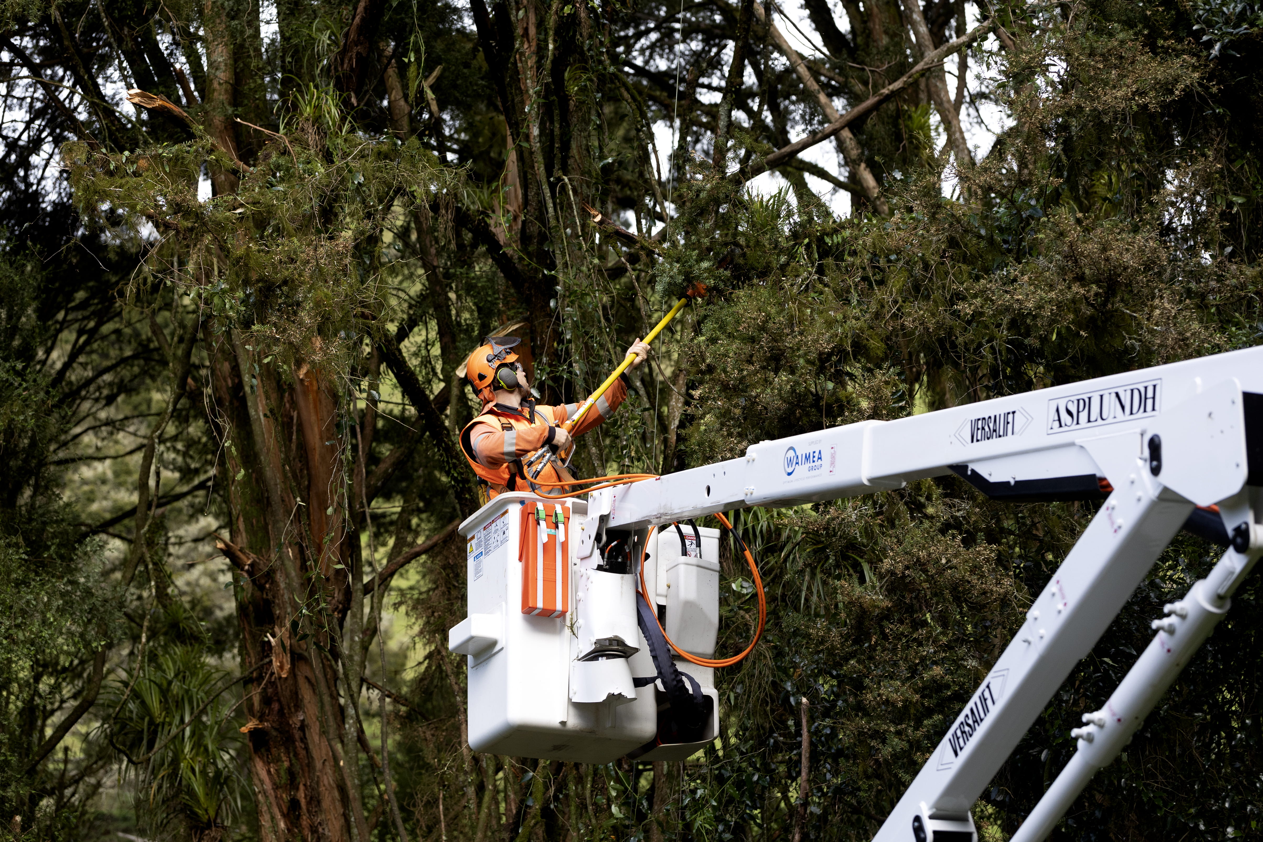 Arborist in cherry picker cutting trees