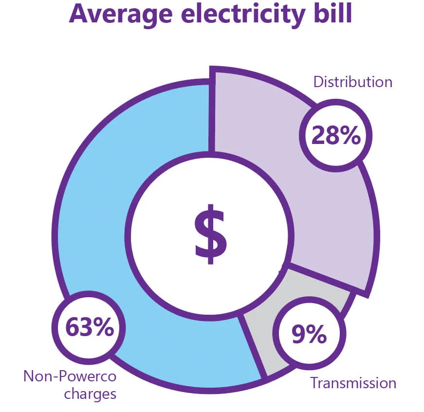 Electricity pricing pie chart