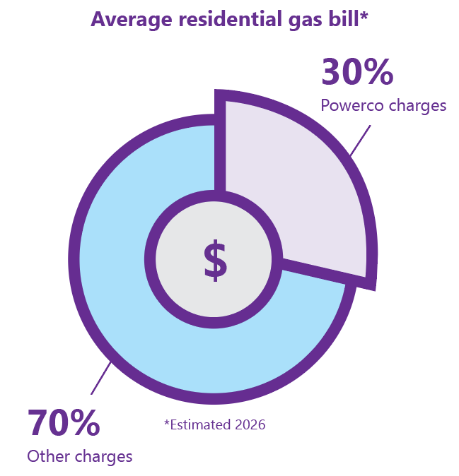 gas pricing pie chart